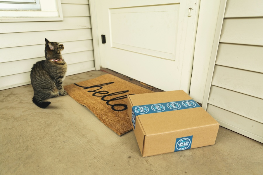 Smart Security Solutions You Need to Know Before the Holidays